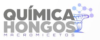 Química Hongos
